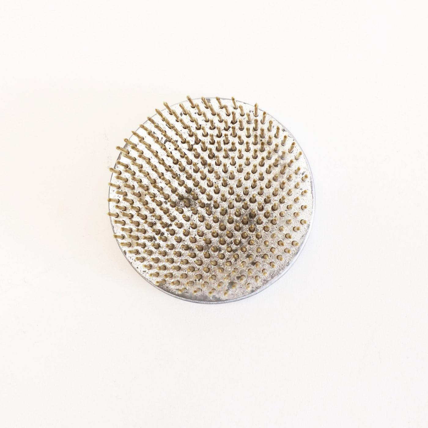 Puriri Lane | Flower Frog | Large