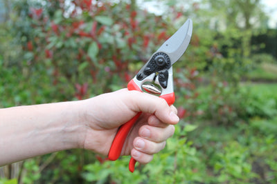 Puriri Lane | Metallo | Left Handed Secateurs