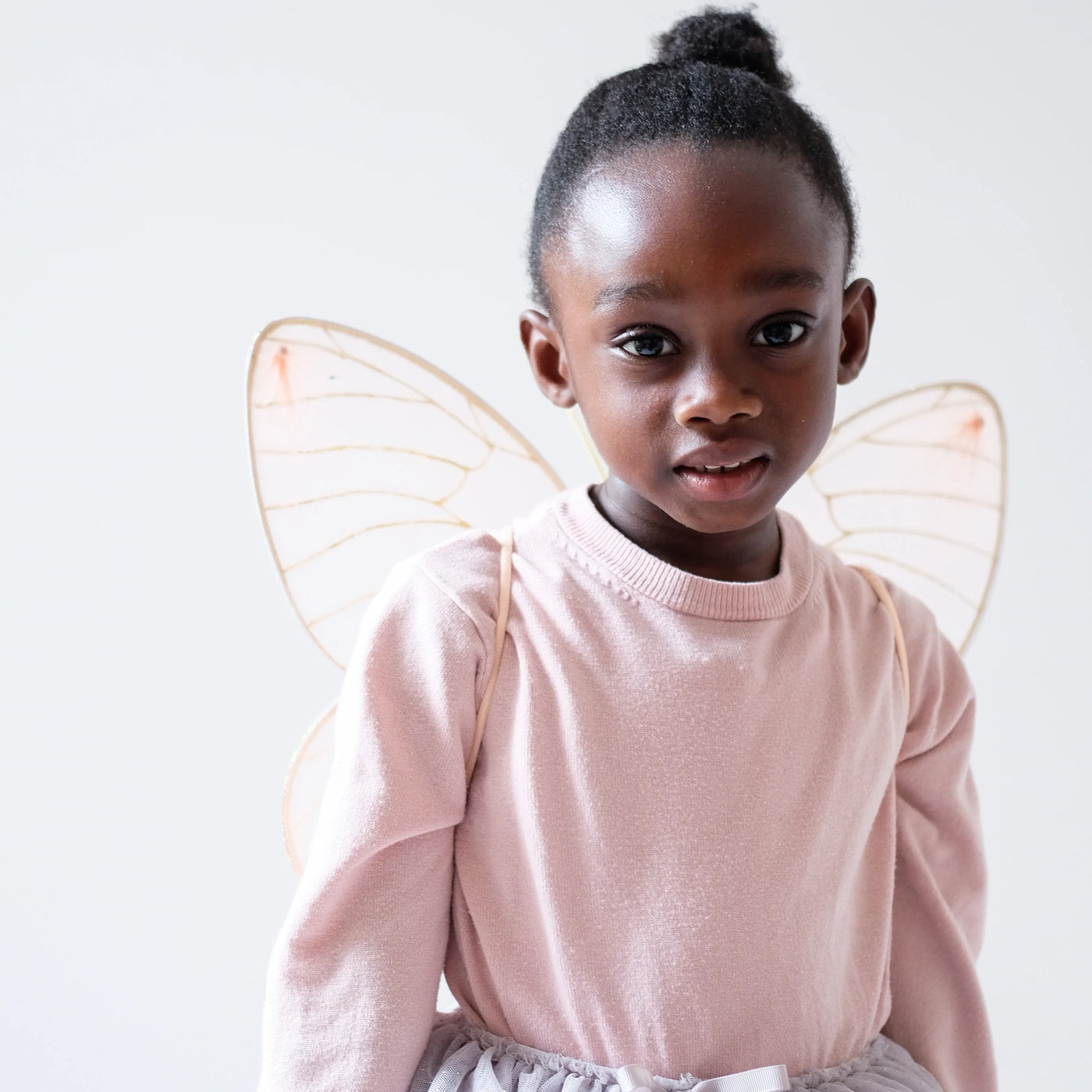 Puriri Lane | Butterfly Wings