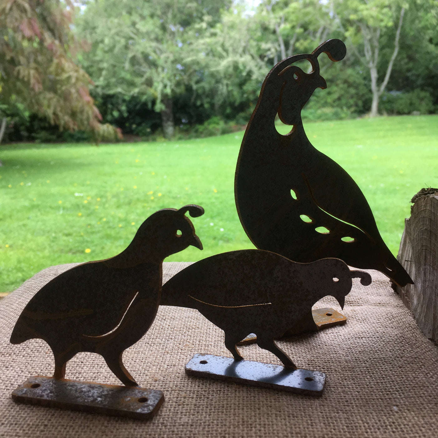 Puriri Lane | Quail Family | Flat Bars