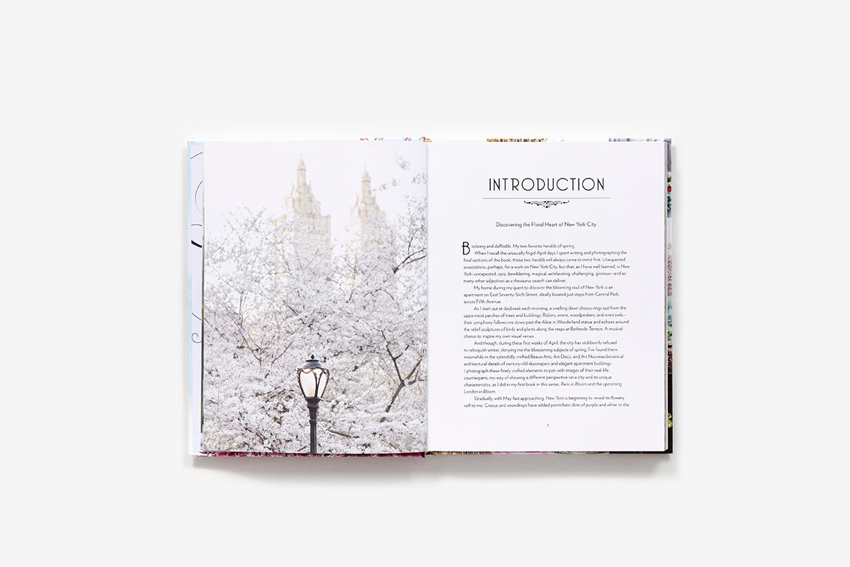 Puriri Lane | New York In Bloom | Georgianna Lane