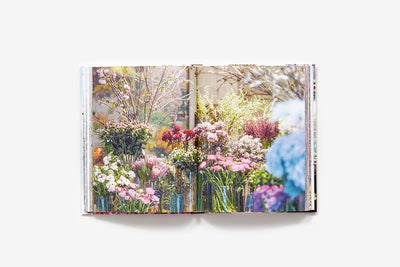 Puriri Lane | New York In Bloom | Georgianna Lane