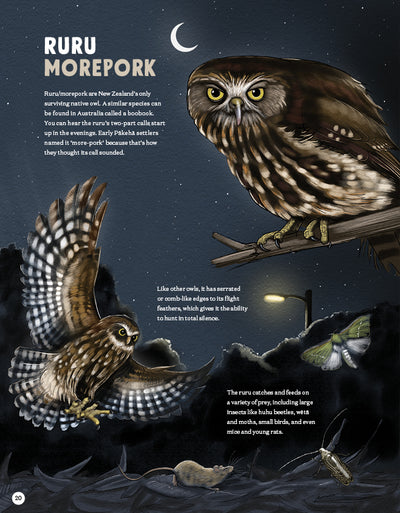 Puriri Lane | New Zealand's Backyard Birds | Ned Barraud