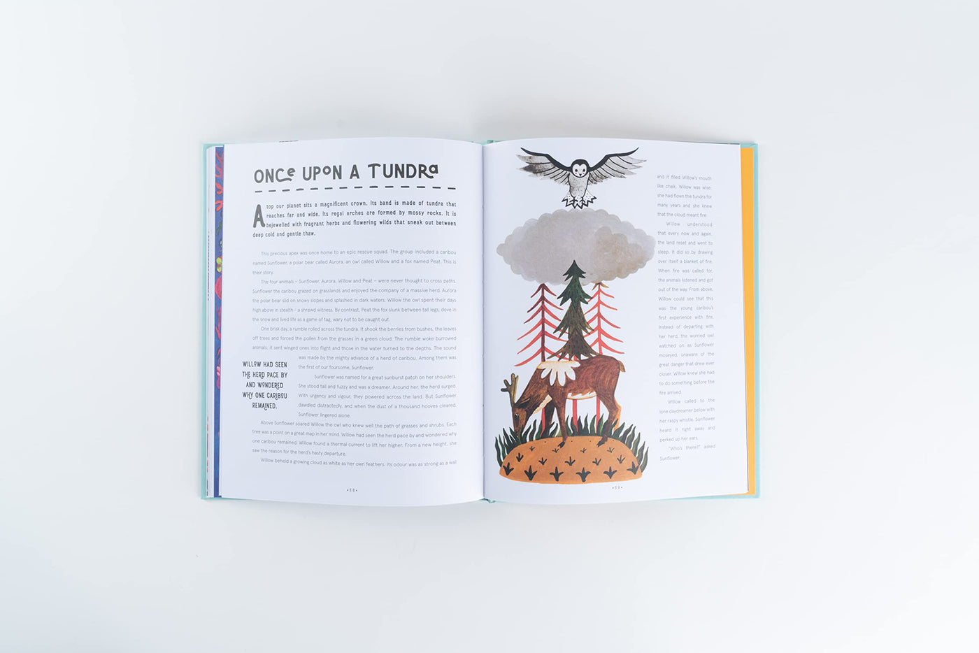 Puriri Lane | Once Upon Our Planet | Vita Murrow