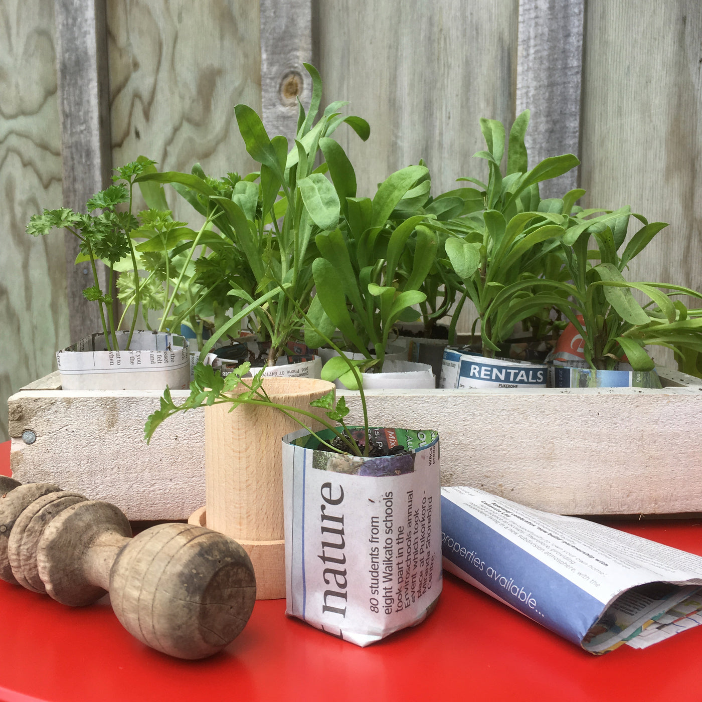 Puriri Lane | Paper Pot Maker