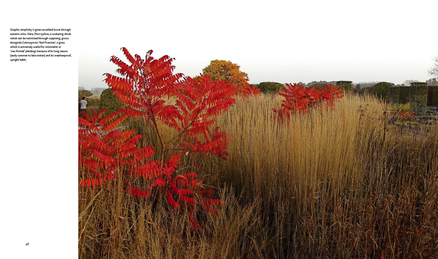 Puriri Lane | Planting A New Perspective | Piet Oudolf & Noel Kingsbury