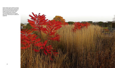 Puriri Lane | Planting A New Perspective | Piet Oudolf & Noel Kingsbury