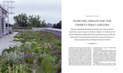 Puriri Lane | Planting A New Perspective | Piet Oudolf & Noel Kingsbury