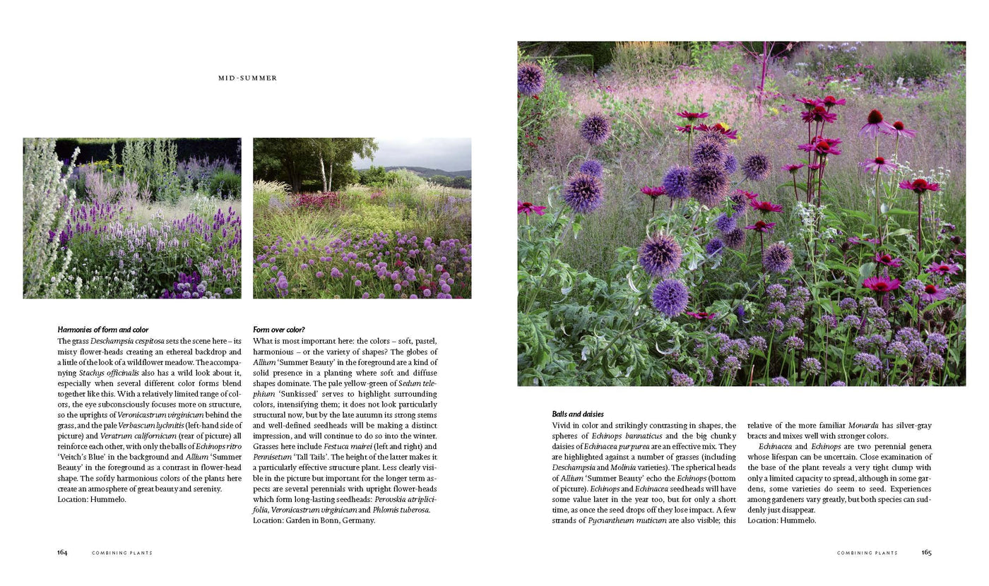 Puriri Lane | Planting A New Perspective | Piet Oudolf & Noel Kingsbury