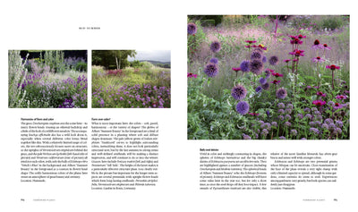 Puriri Lane | Planting A New Perspective | Piet Oudolf & Noel Kingsbury