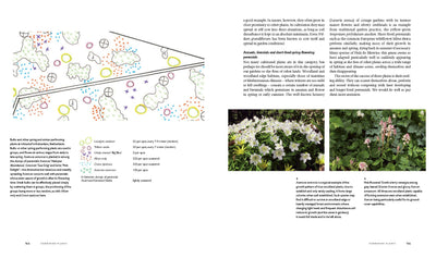 Puriri Lane | Planting A New Perspective | Piet Oudolf & Noel Kingsbury