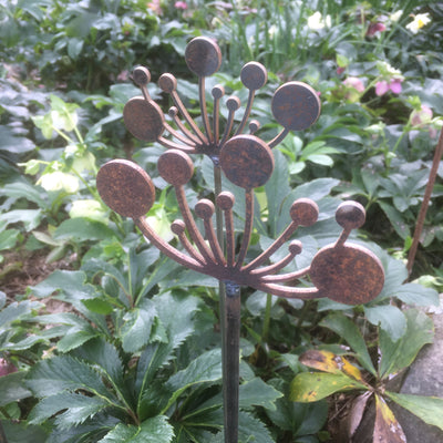 Queen Annes Lace | Corten Steel