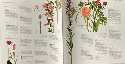 Puriri Lane | The Cutting Garden | Sarah Raven