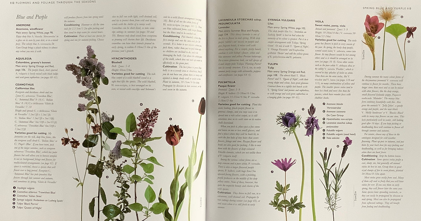 Puriri Lane | The Cutting Garden | Sarah Raven