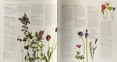 Puriri Lane | The Cutting Garden | Sarah Raven