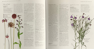 Puriri Lane | The Cutting Garden | Sarah Raven