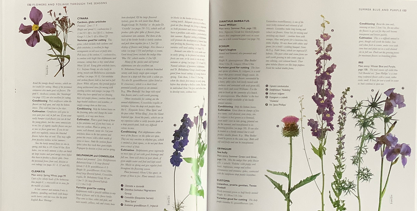 Puriri Lane | The Cutting Garden | Sarah Raven