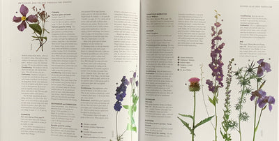 Puriri Lane | The Cutting Garden | Sarah Raven