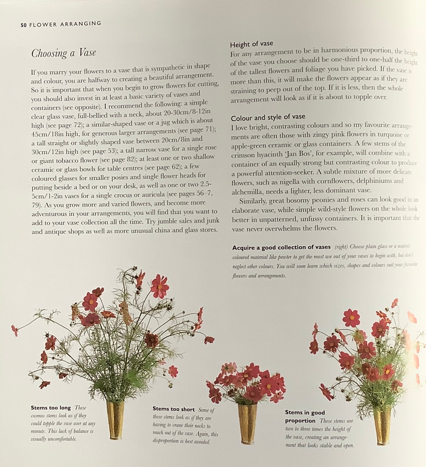 Puriri Lane | The Cutting Garden | Sarah Raven