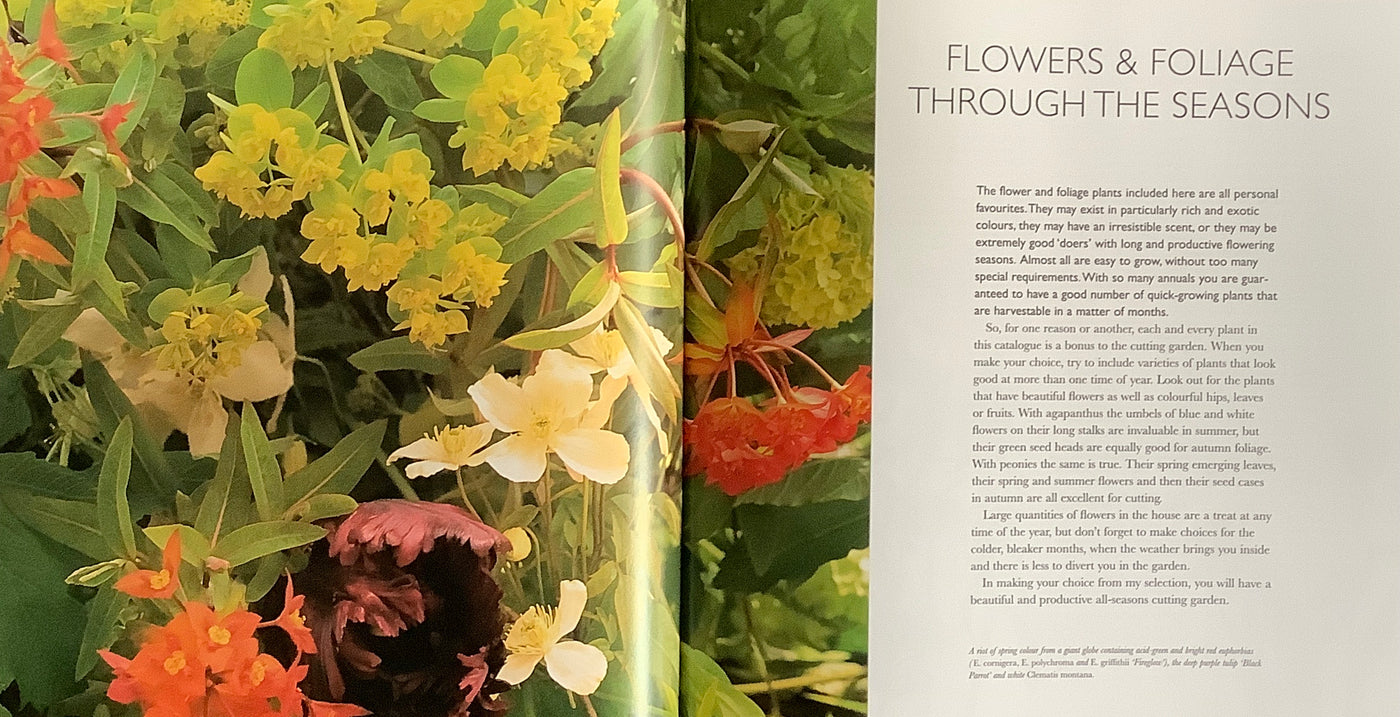 Puriri Lane | The Cutting Garden | Sarah Raven