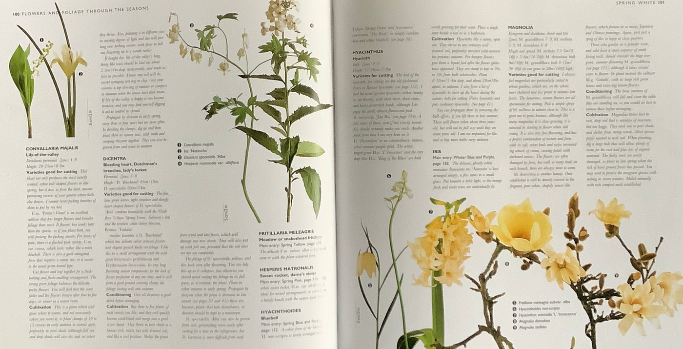 Puriri Lane | The Cutting Garden | Sarah Raven