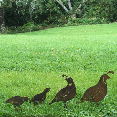 Quail Family | Set of 4 | Stakes