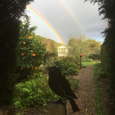 Puriri Lane | Singing Bird | Corten Steel
