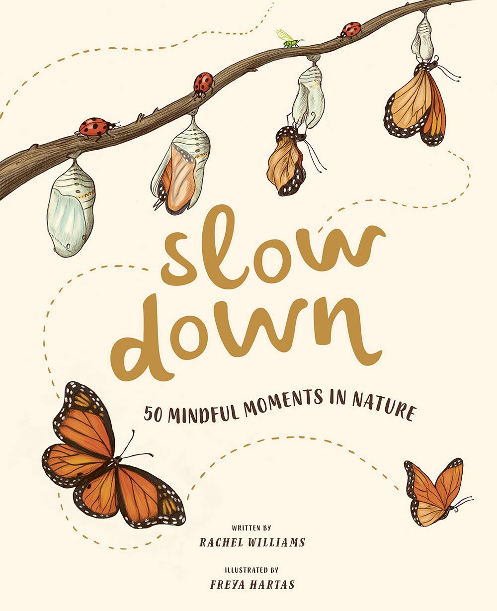 Puriri Lane | Slow Down | Bring Calm To A Busy World With 50 Nature Stories | Rachel Williams