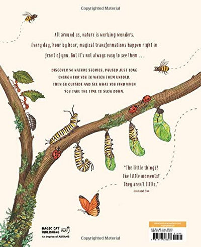 Puriri Lane | Slow Down | Bring Calm To A Busy World With 50 Nature Stories | Rachel Williams