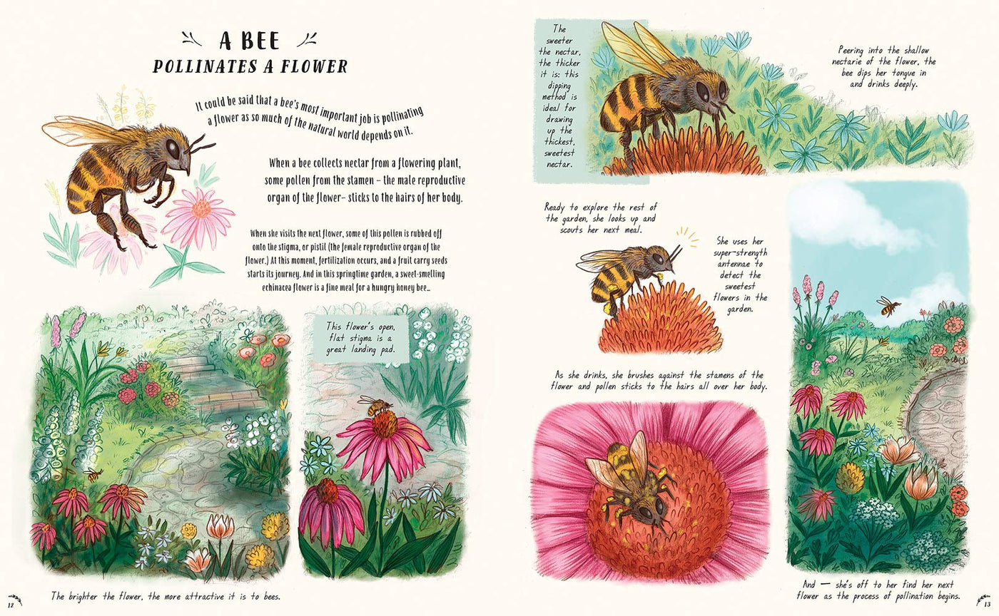 Puriri Lane | Slow Down | Bring Calm To A Busy World With 50 Nature Stories | Rachel Williams