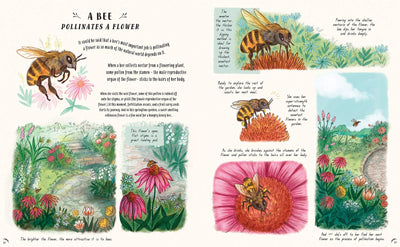 Puriri Lane | Slow Down | Bring Calm To A Busy World With 50 Nature Stories | Rachel Williams