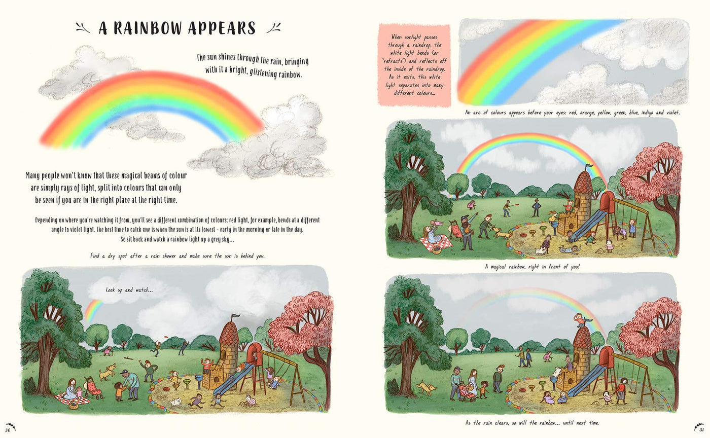 Puriri Lane | Slow Down | Bring Calm To A Busy World With 50 Nature Stories | Rachel Williams