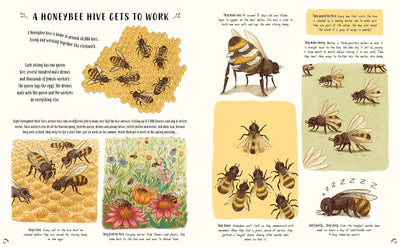 Puriri Lane | Slow Down | Bring Calm To A Busy World With 50 Nature Stories | Rachel Williams