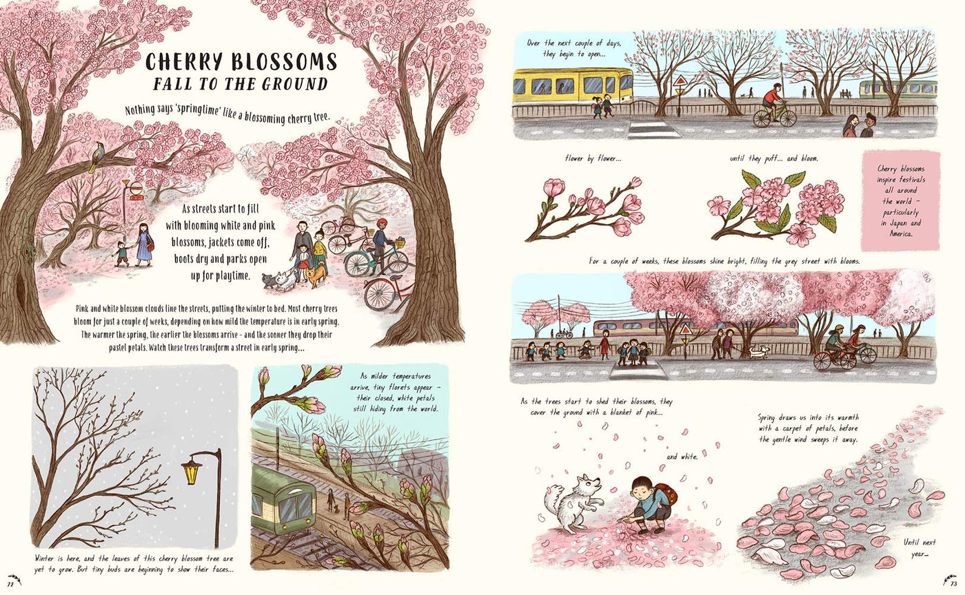 Puriri Lane | Slow Down | Bring Calm To A Busy World With 50 Nature Stories | Rachel Williams