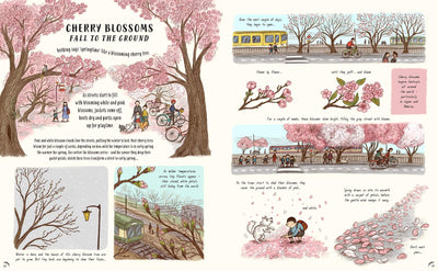 Puriri Lane | Slow Down | Bring Calm To A Busy World With 50 Nature Stories | Rachel Williams