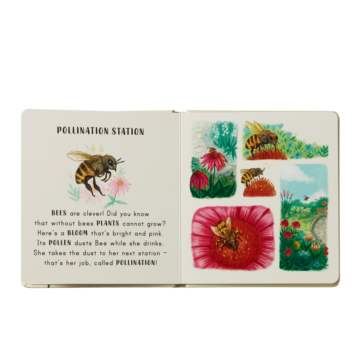 Puriri Lane | Slow Down | Nature On Your Doorstep | Freya Hartas