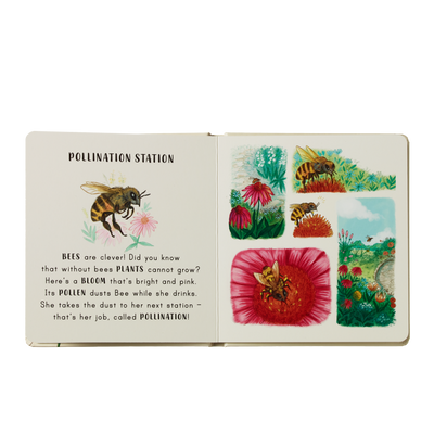 Puriri Lane | Slow Down | Nature On Your Doorstep | Freya Hartas