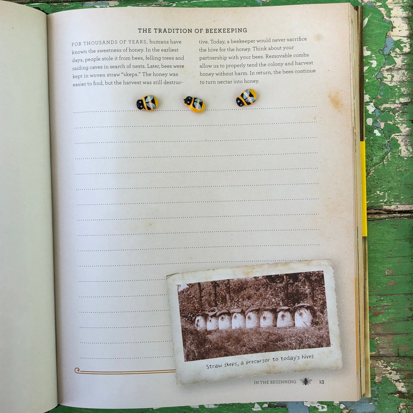 Puriri Lane | The Beekeepers Journal
