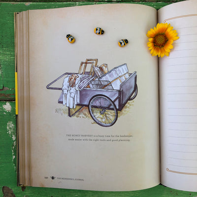 Puriri Lane | The Beekeepers Journal