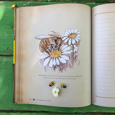 Puriri Lane | The Beekeepers Journal