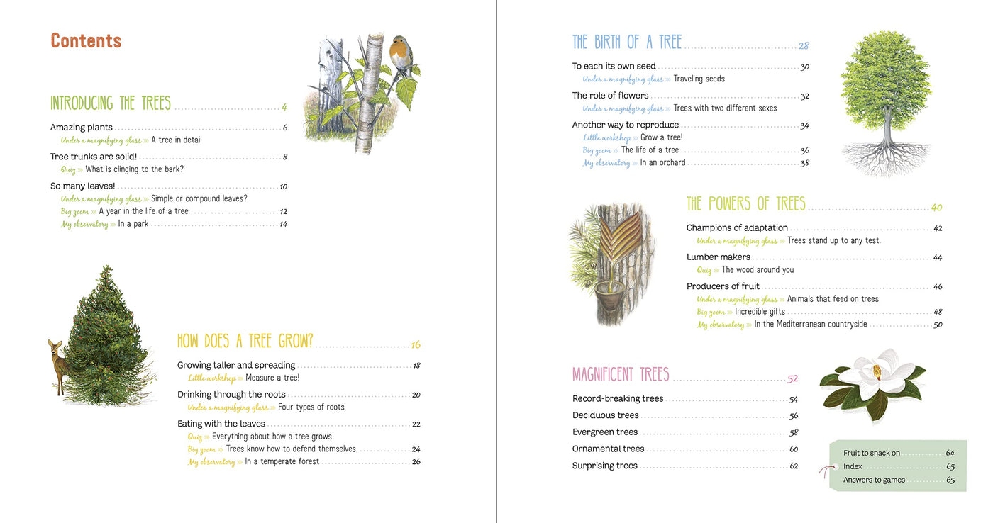 Puriri Lane | The Book Of Amazing Trees | Nathalie Tordjman