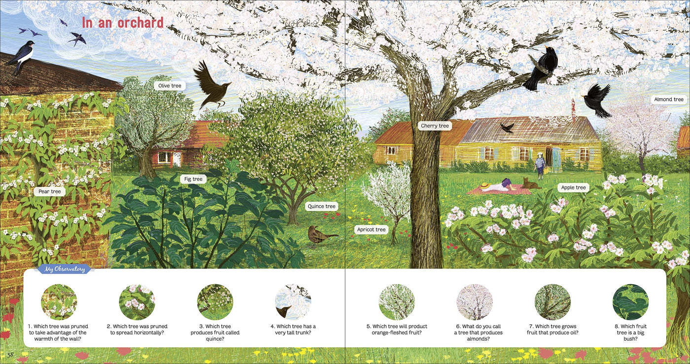 Puriri Lane | The Book Of Amazing Trees | Nathalie Tordjman