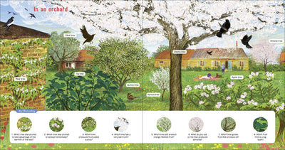 Puriri Lane | The Book Of Amazing Trees | Nathalie Tordjman