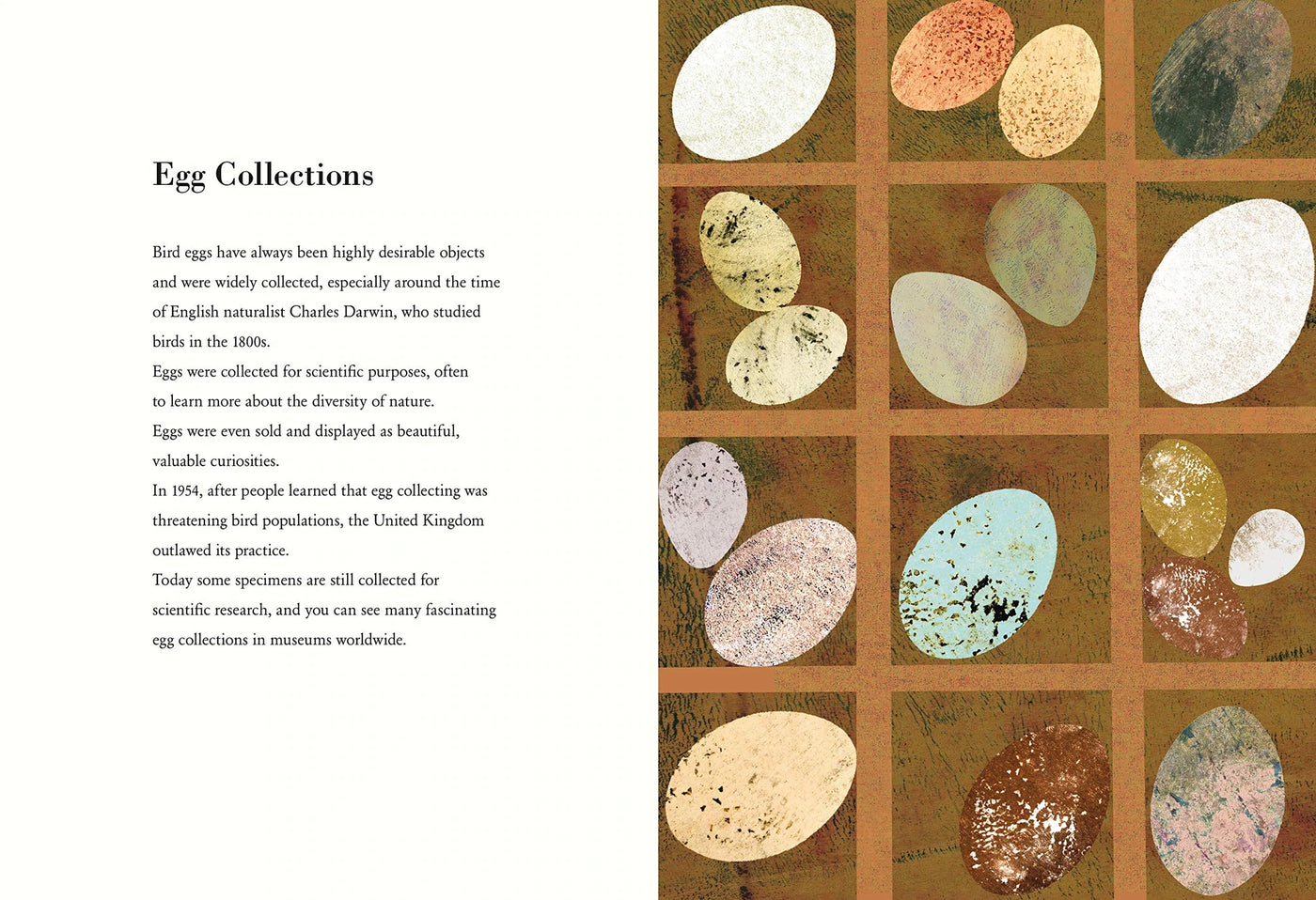 Puriri Lane | The Egg | Britta Teckentrup