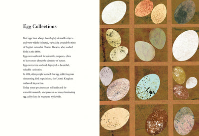 Puriri Lane | The Egg | Britta Teckentrup