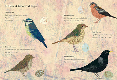 Puriri Lane | The Egg | Britta Teckentrup