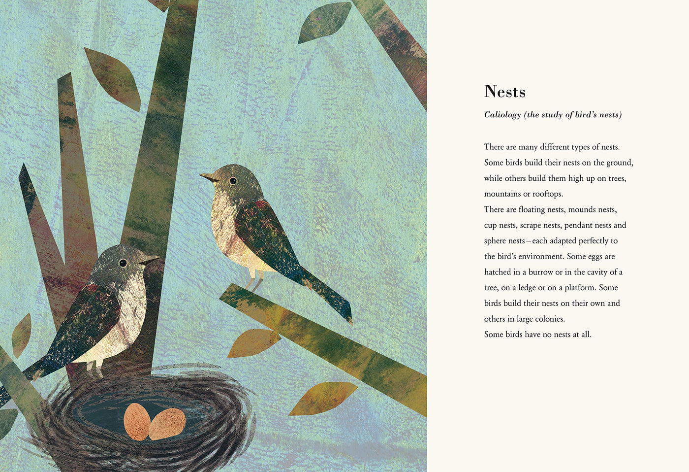 Puriri Lane | The Egg | Britta Teckentrup