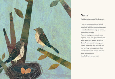 Puriri Lane | The Egg | Britta Teckentrup