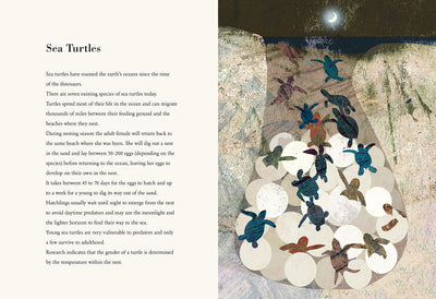 Puriri Lane | The Egg | Britta Teckentrup