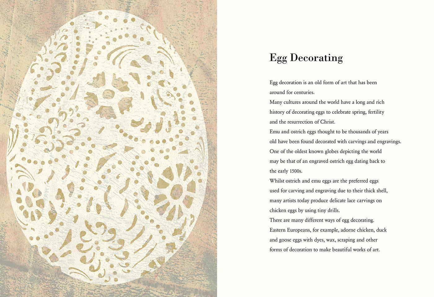 Puriri Lane | The Egg | Britta Teckentrup